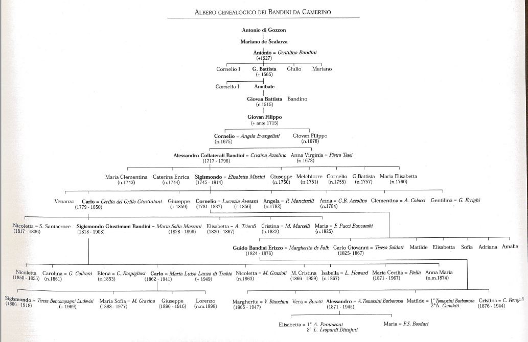 albero giustiniani bandini di camerino